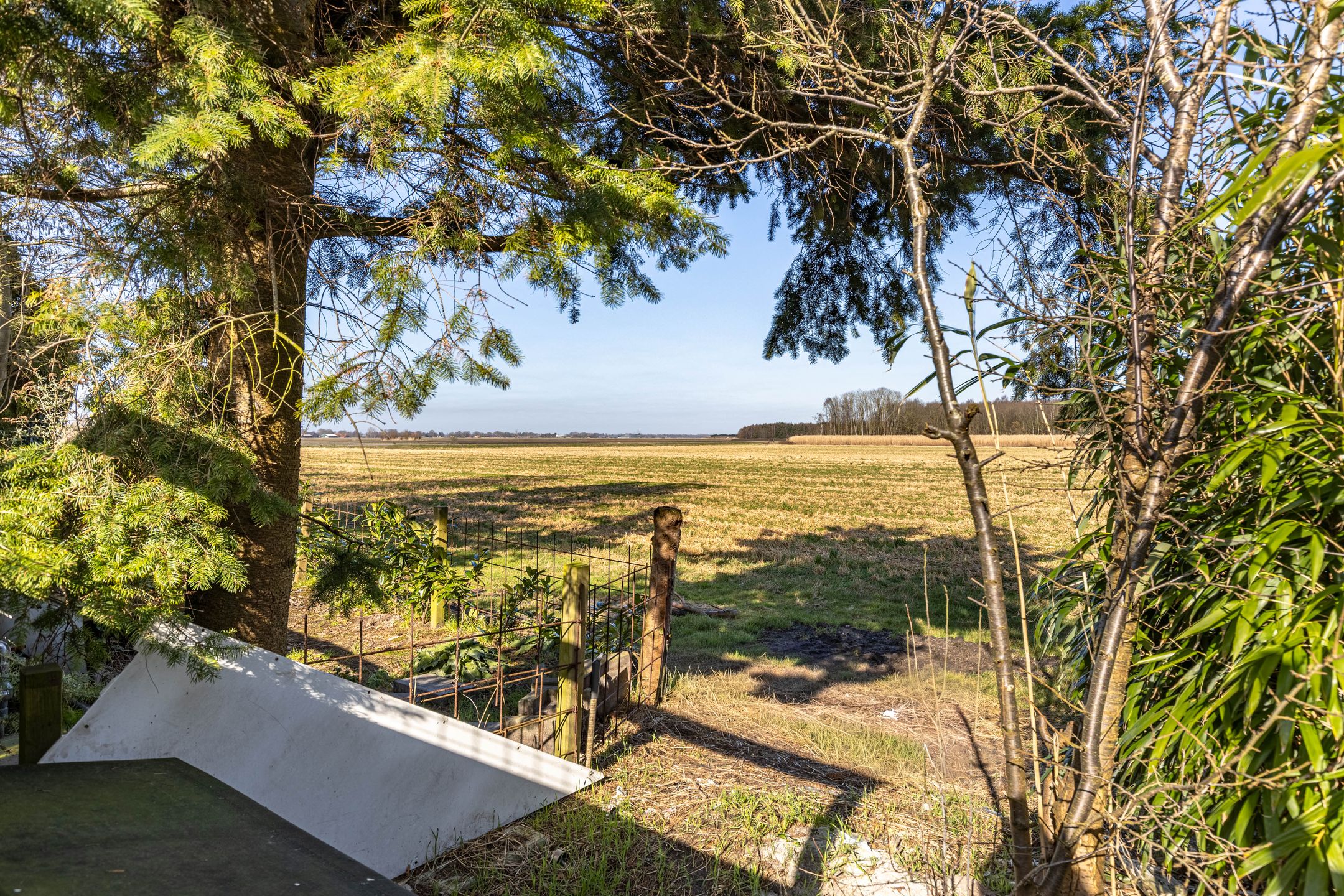 Foto 39 van Langeleegte 161