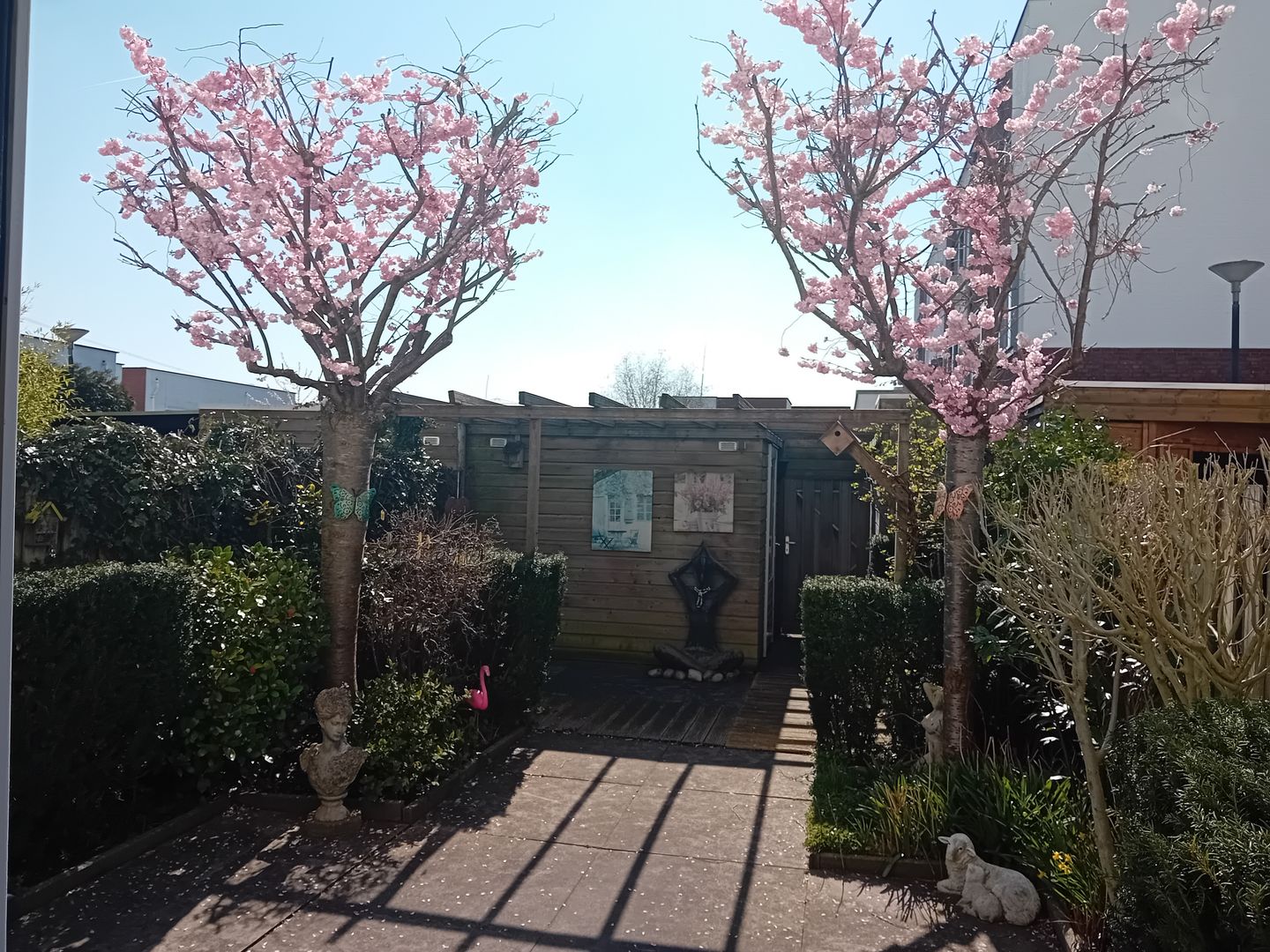 Foto 34 van Rhodoshof 3