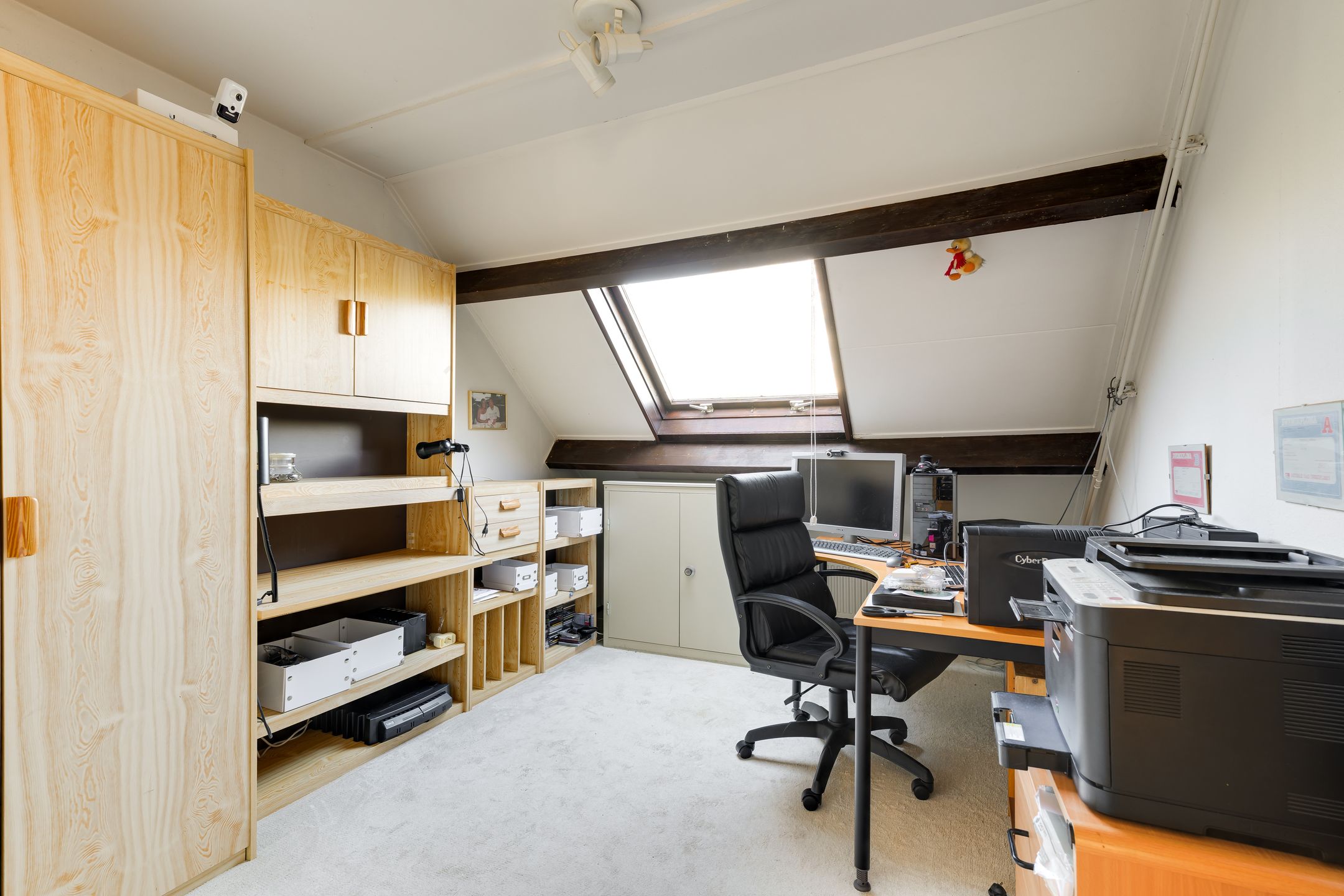 Foto 18 van Lavendeltuin 19