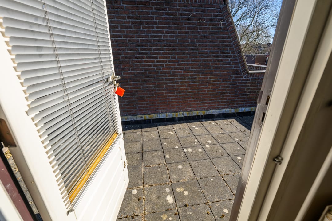 Foto 22 van Lavendeltuin 19