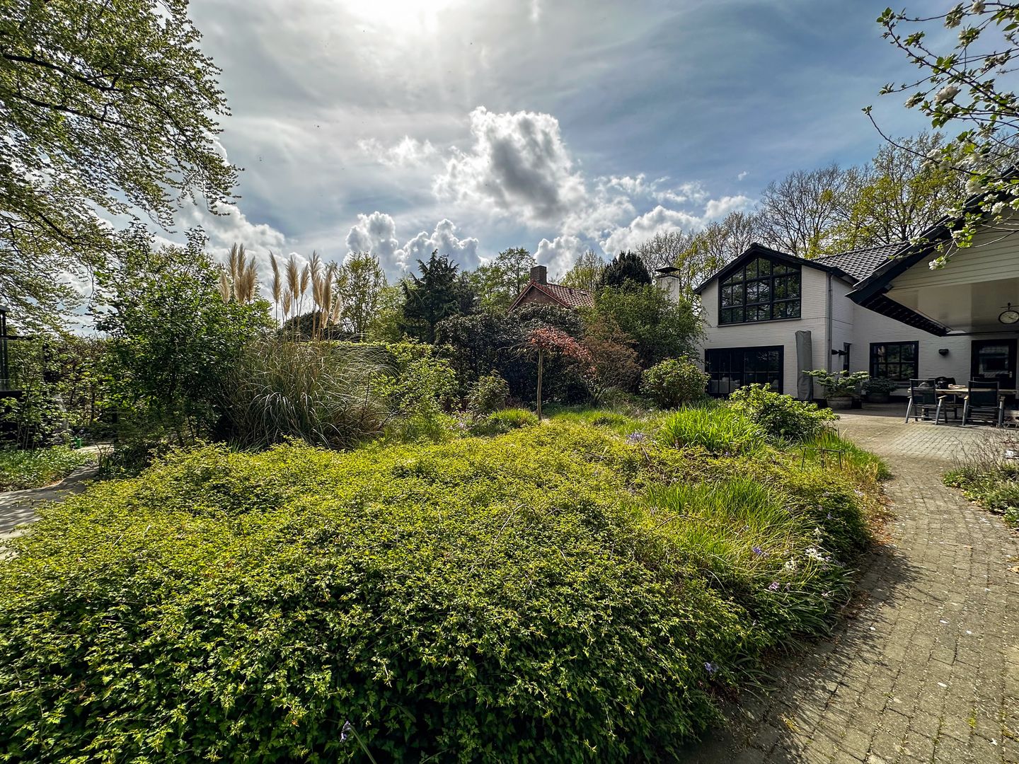 Foto 35 van Wildertsedijk 49