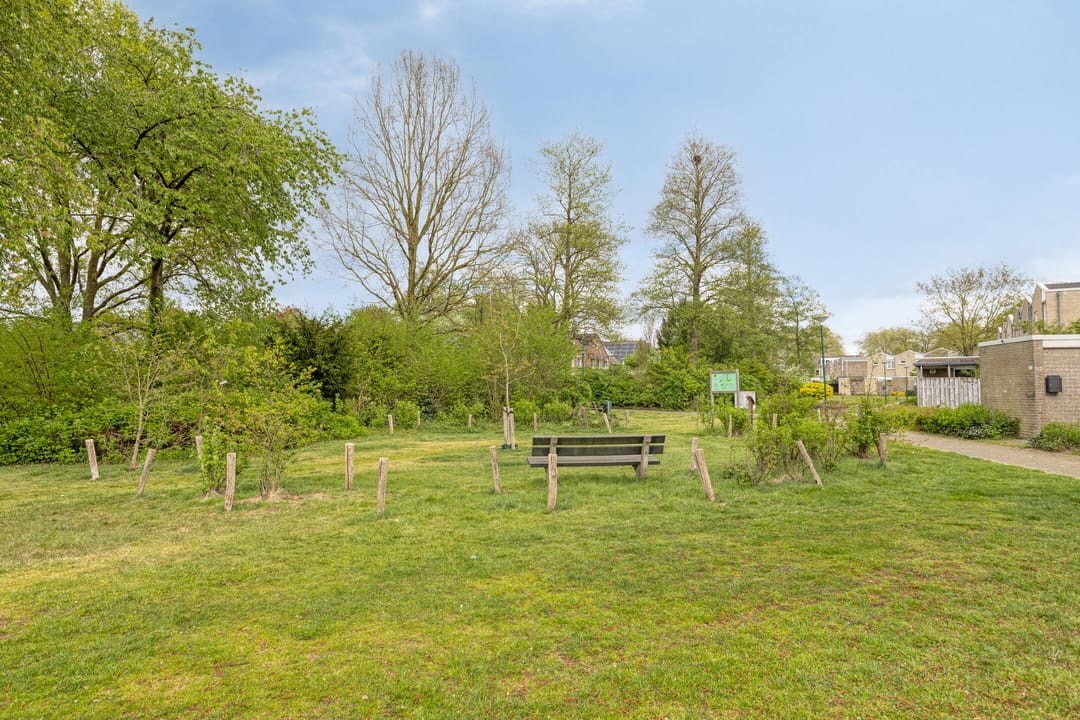 Foto 31 van de Wieken 3