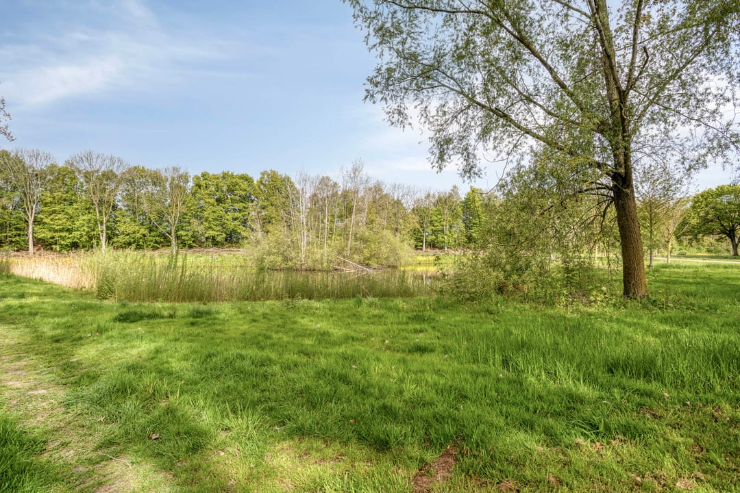 Foto 37 van Kruiskampsingel 289