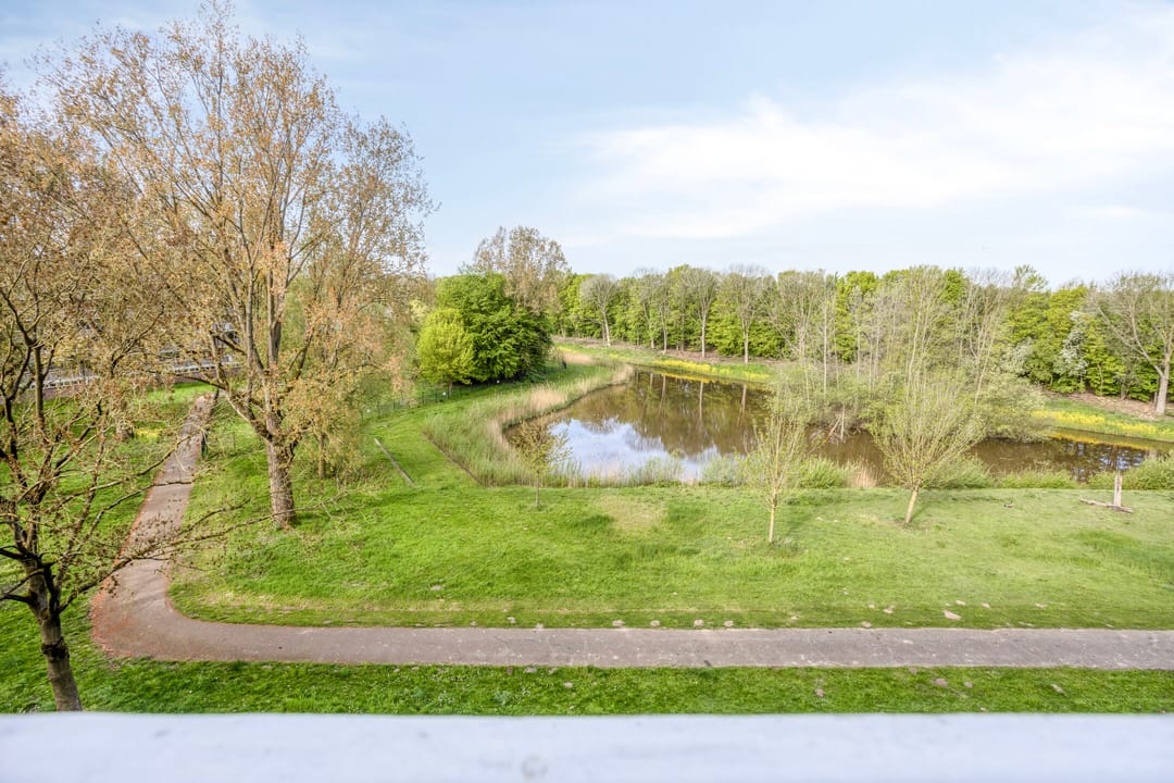 Foto 38 van Kruiskampsingel 289