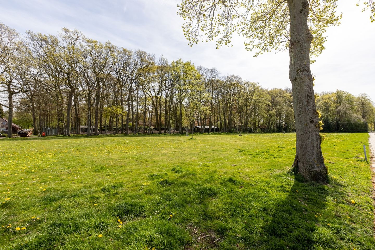 Foto 50 van Fréderic de Ramlaan 34