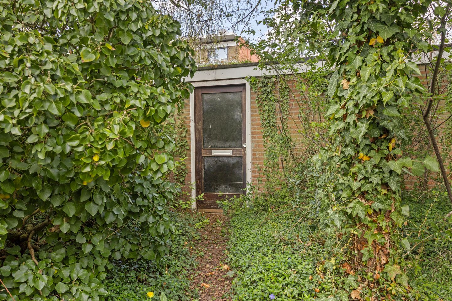 Foto 20 van Steenbokstraat 58