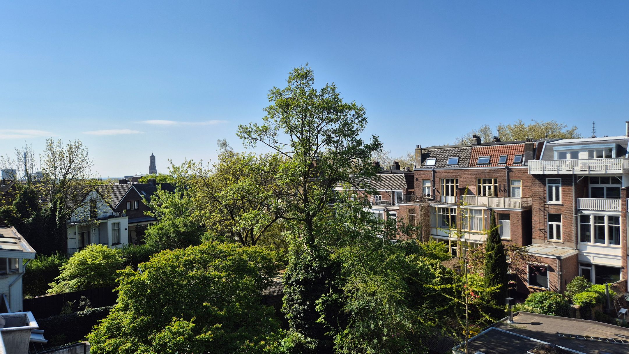 Foto 12 van De Wiltstraat 87-2