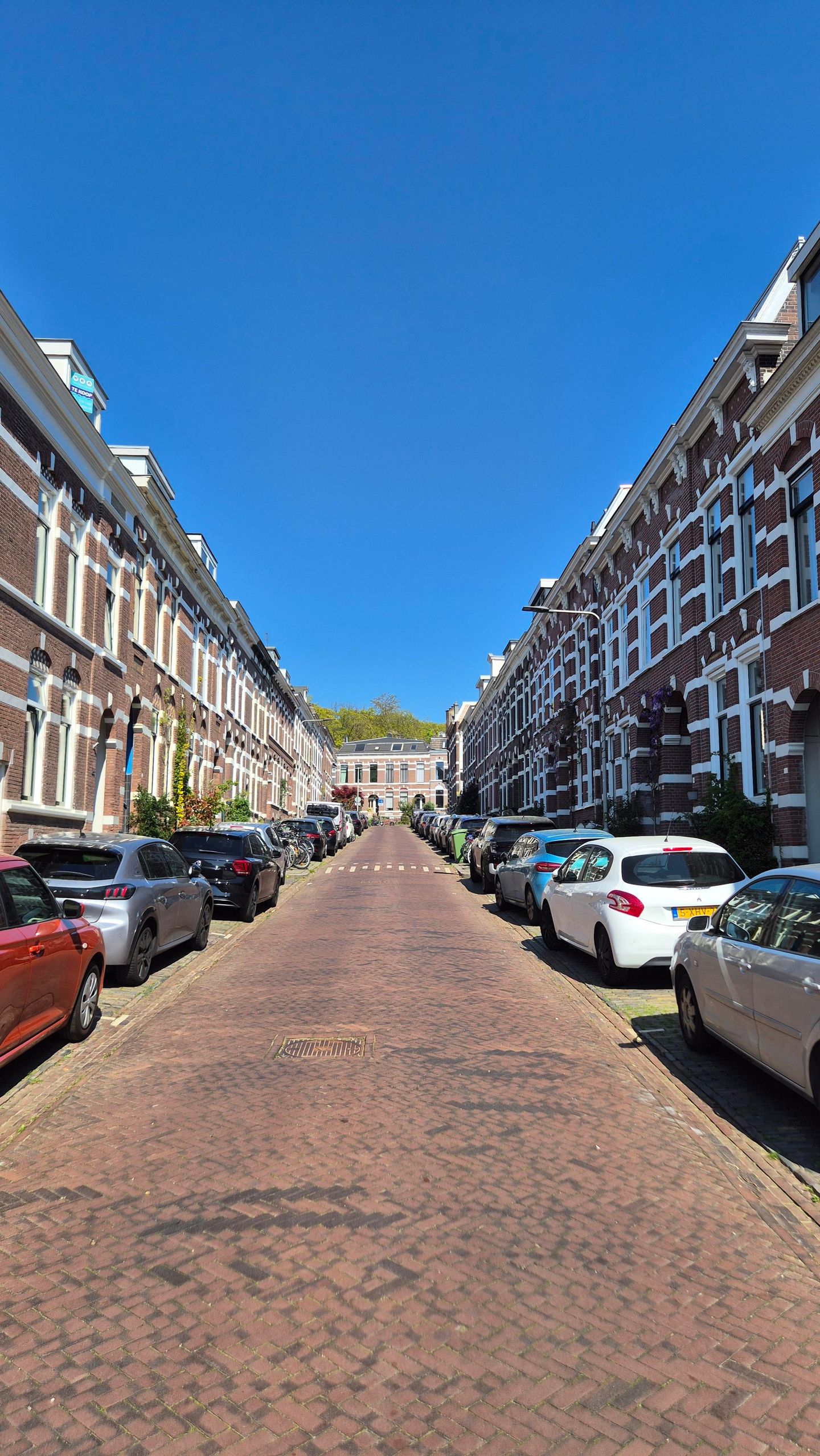 Foto 19 van De Wiltstraat 87-2