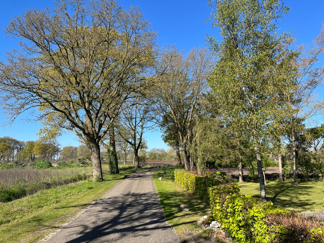 Photo 76 of Voor de Blanken 8