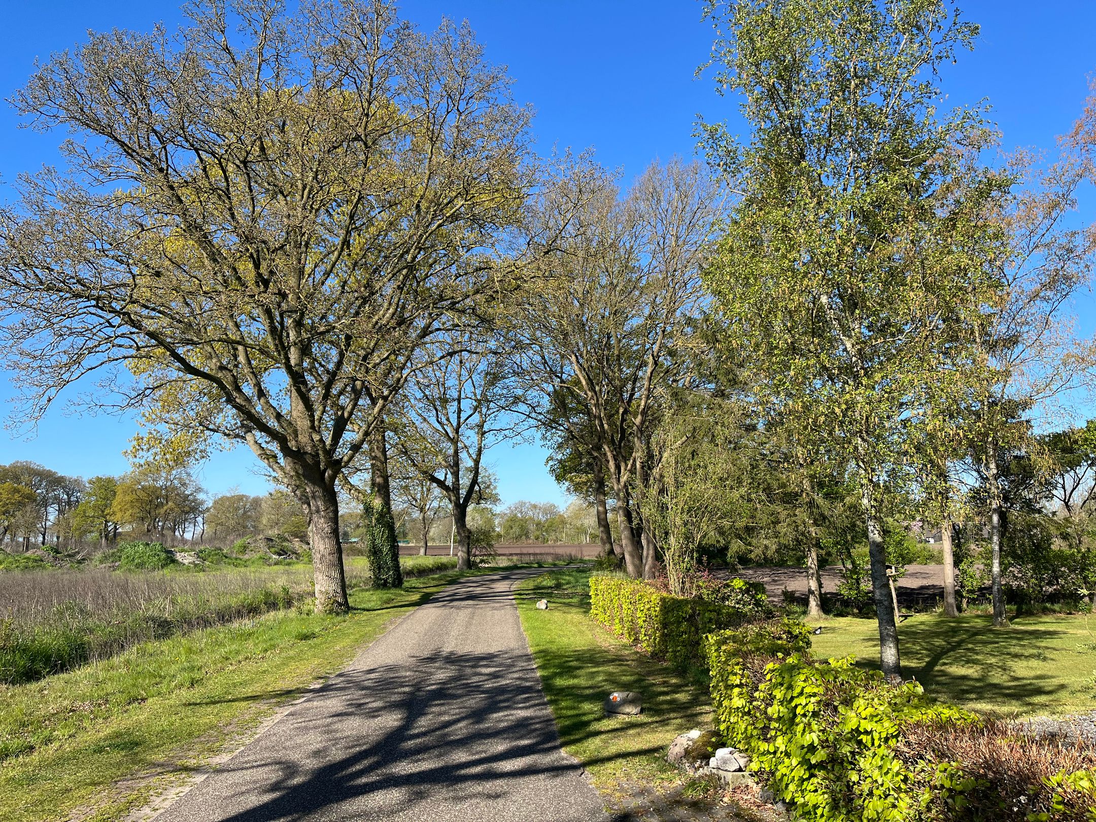 Photo 75 of Voor de Blanken 8