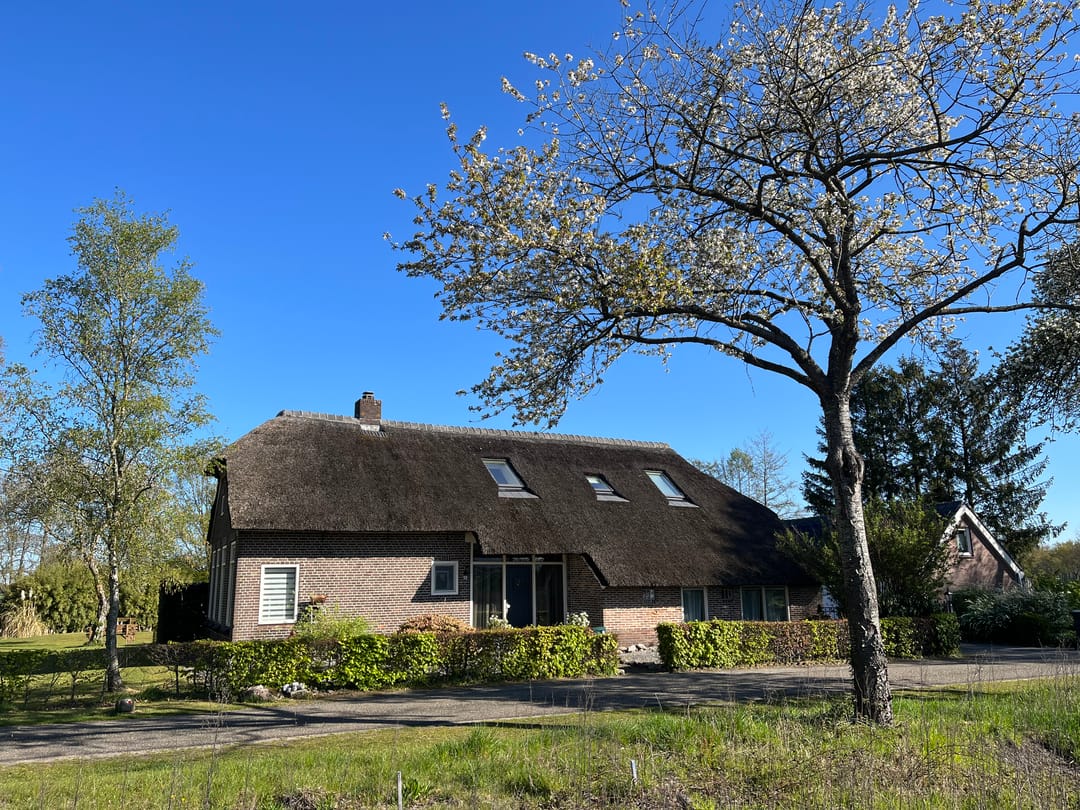 Photo 76 of Voor de Blanken 8
