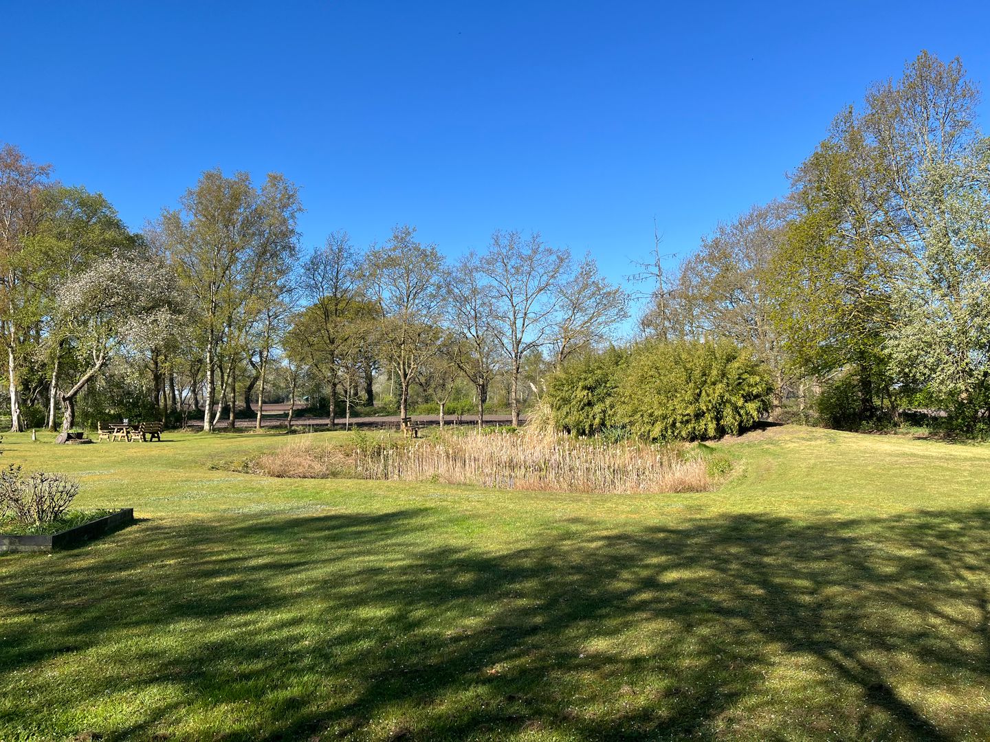 Photo 70 of Voor de Blanken 8