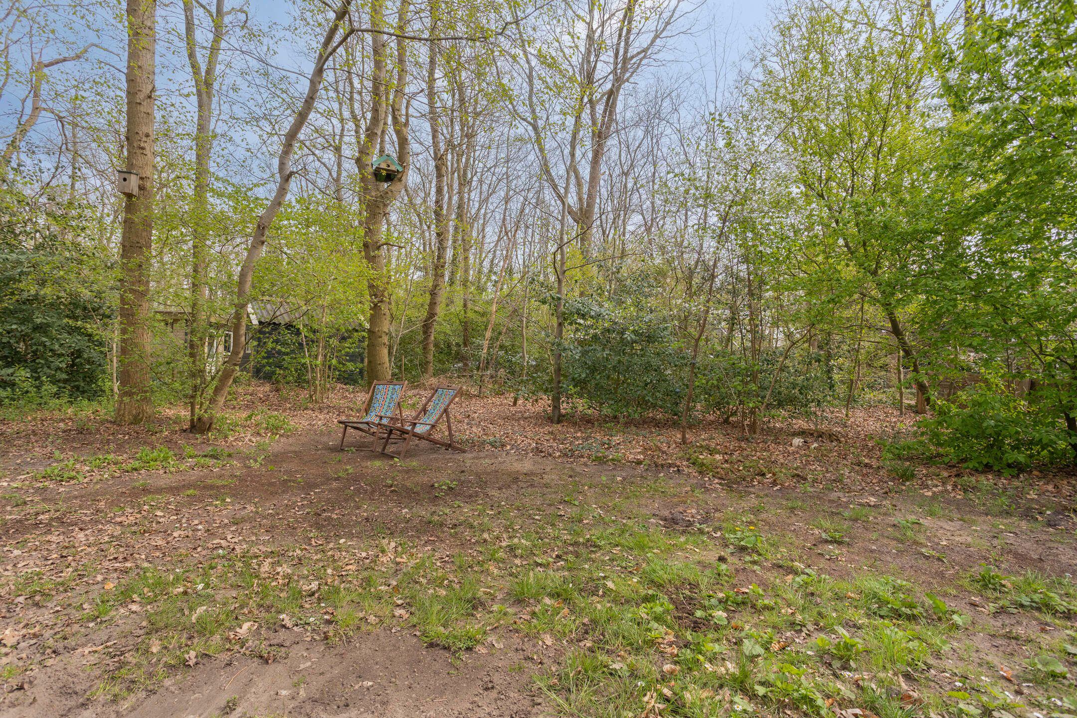 1-bedroom freehold villa in Zorgvlied — photo 2 of 5