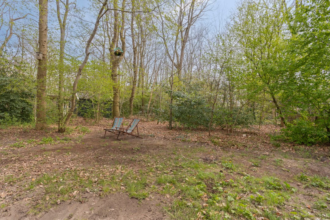 Foto 2 van De Gavere 12