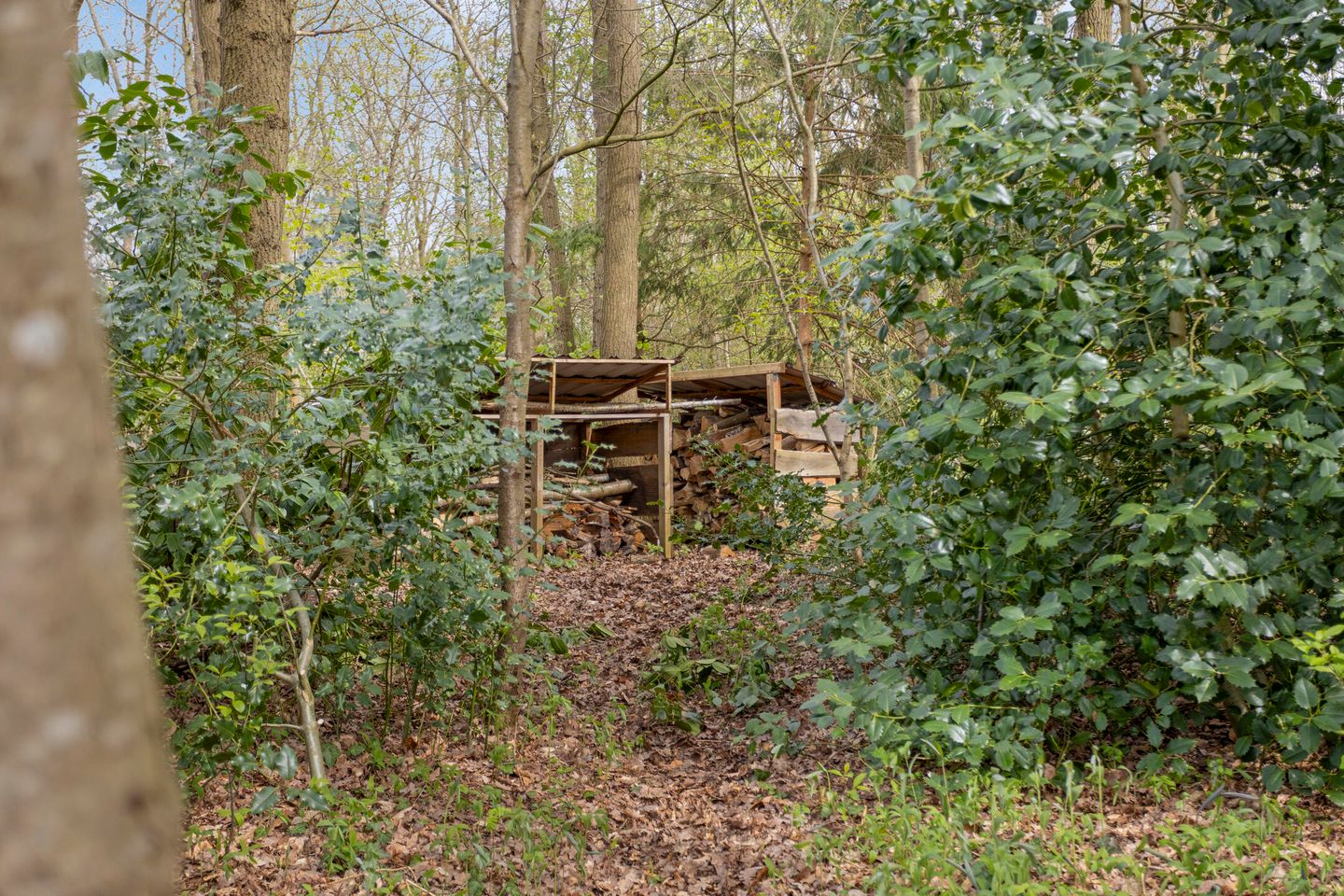 Foto 25 van De Gavere 12