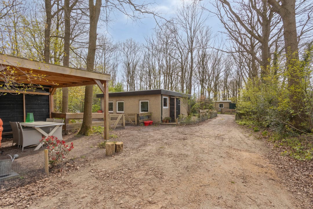 Foto 28 van De Gavere 12