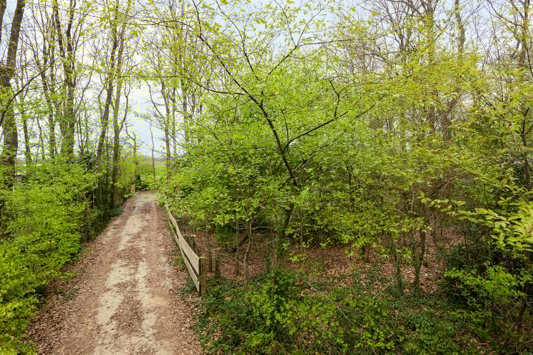 Foto 37 van De Gavere 12