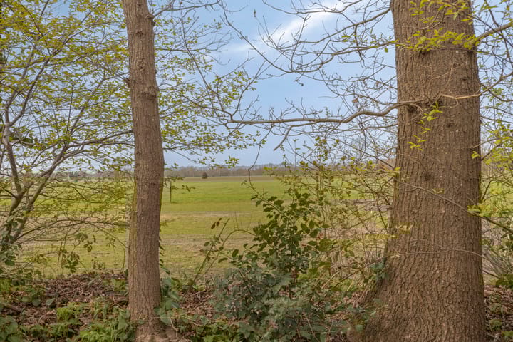 Foto 3 van De Gavere 12