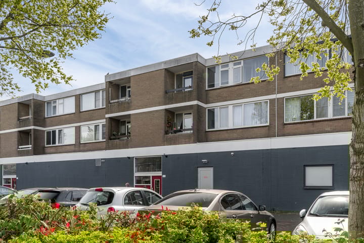 Kraanvogellaan 63 main image