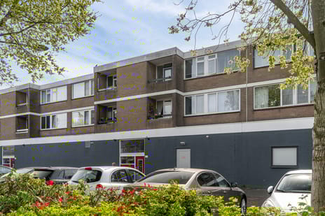 Kraanvogellaan thumbnail