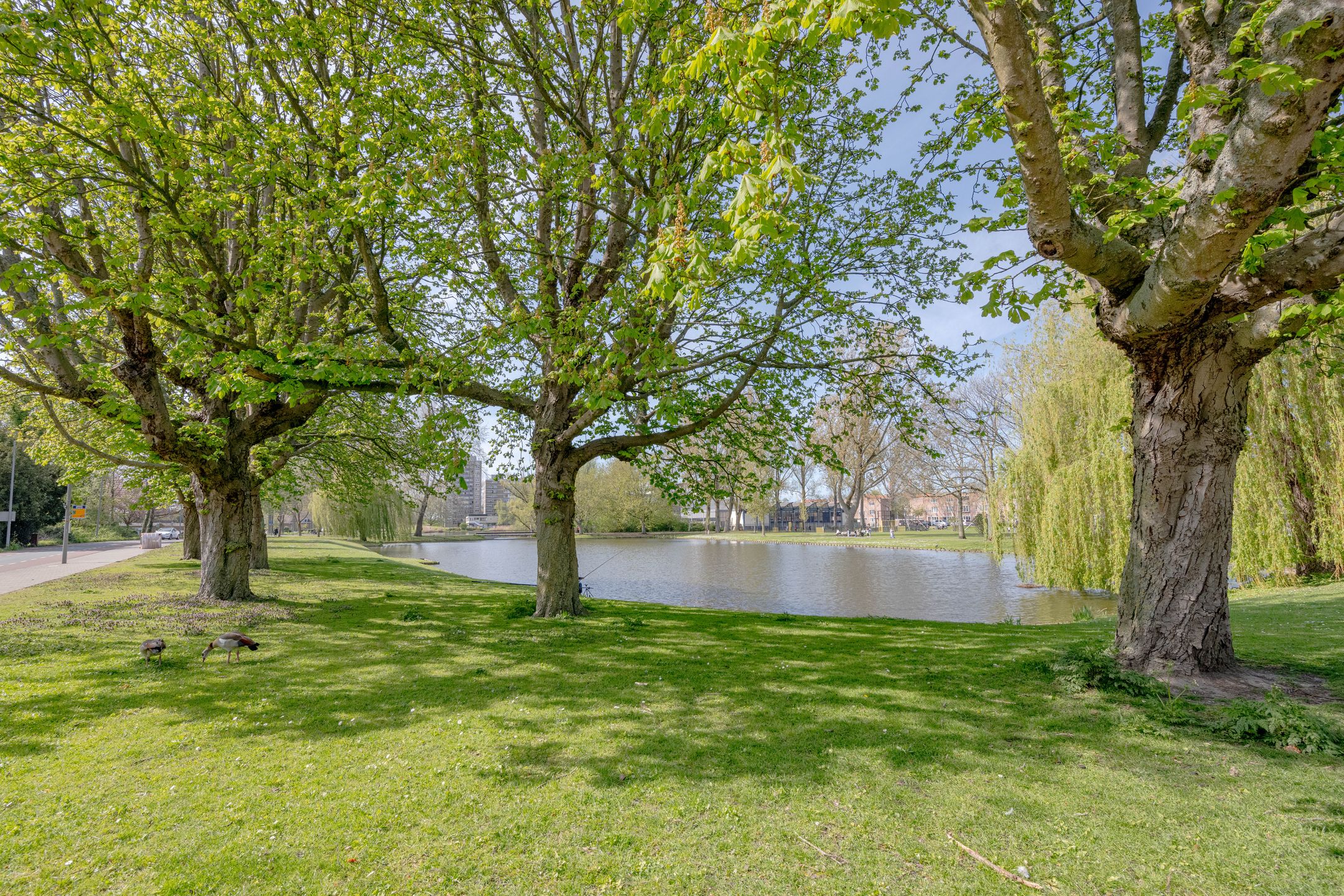 Foto 33 van Struitenweg 35-B