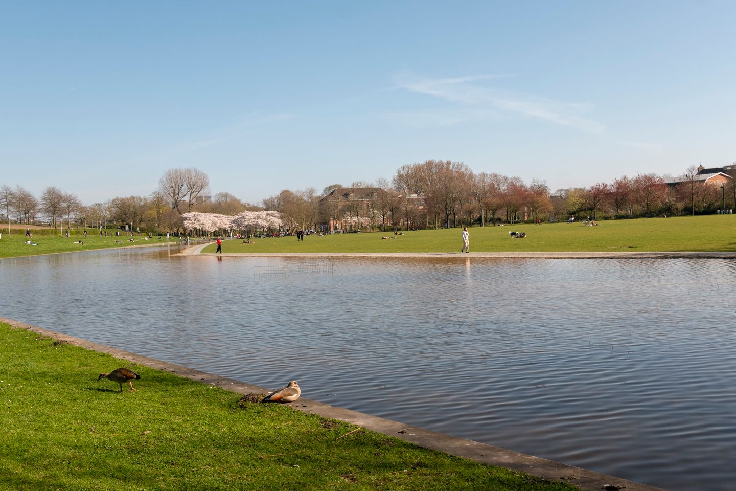 Foto 35 van Eerste Keucheniusstraat 45-1