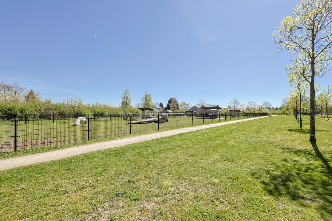 Foto 56 van Zilverhof 11