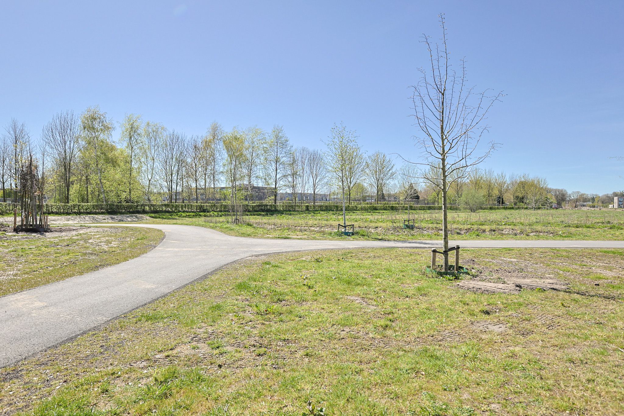 Foto 57 van Zilverhof 11