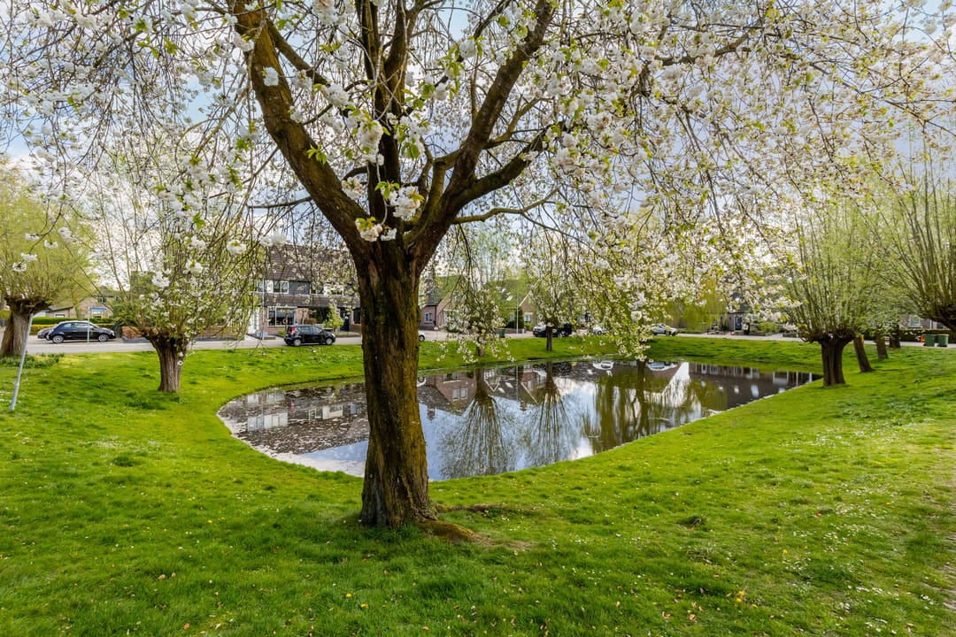 Foto 32 van Hortensiastraat 41