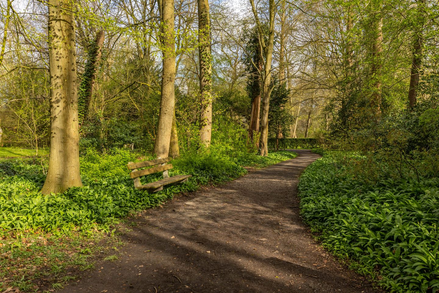 Foto 4 van Helper Brink 61-174