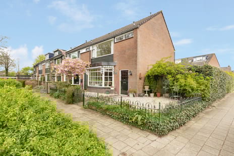 undefined main image