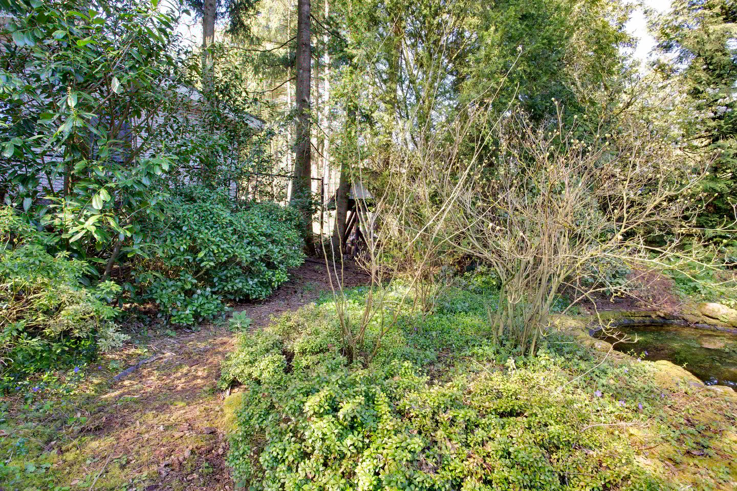 Foto 50 van Prins Willem Alexanderlaan 8