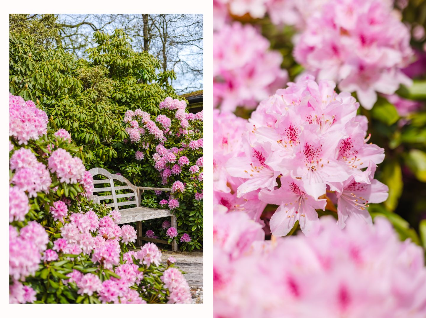 Foto 55 van Bûtewei 48