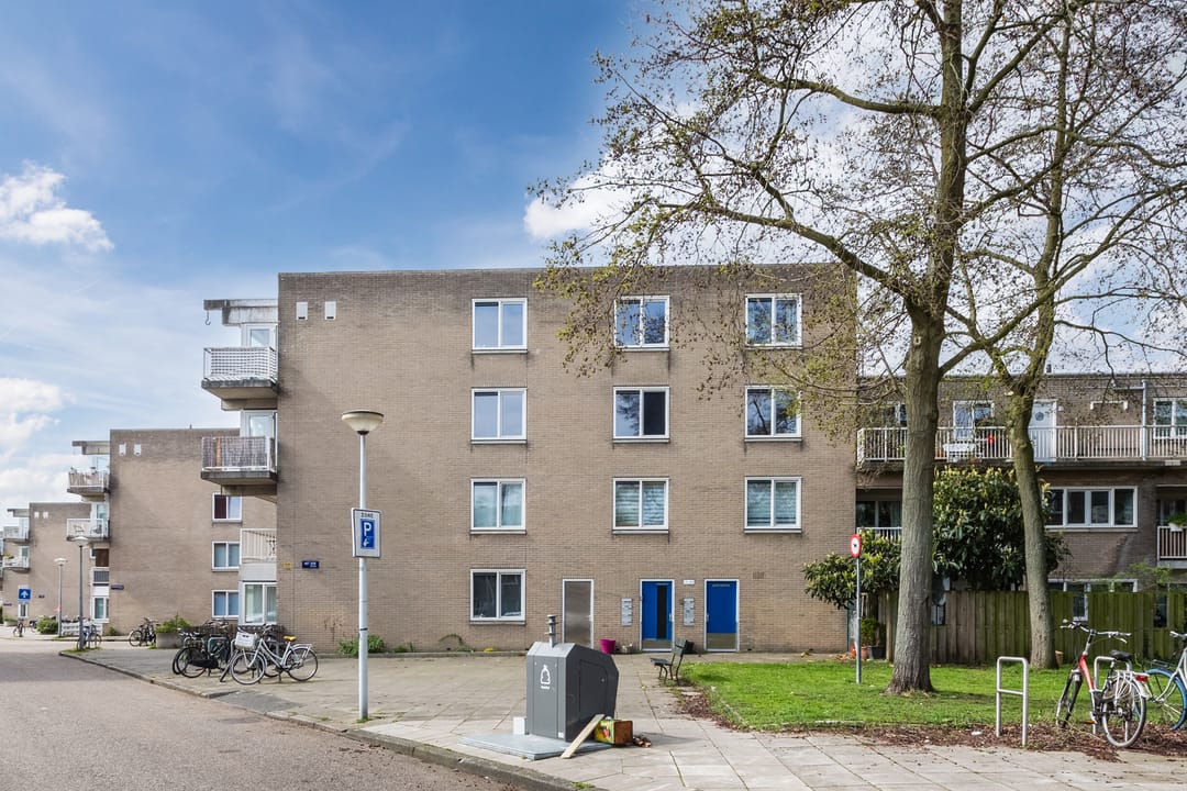 Foto 2 van Het Dok 35