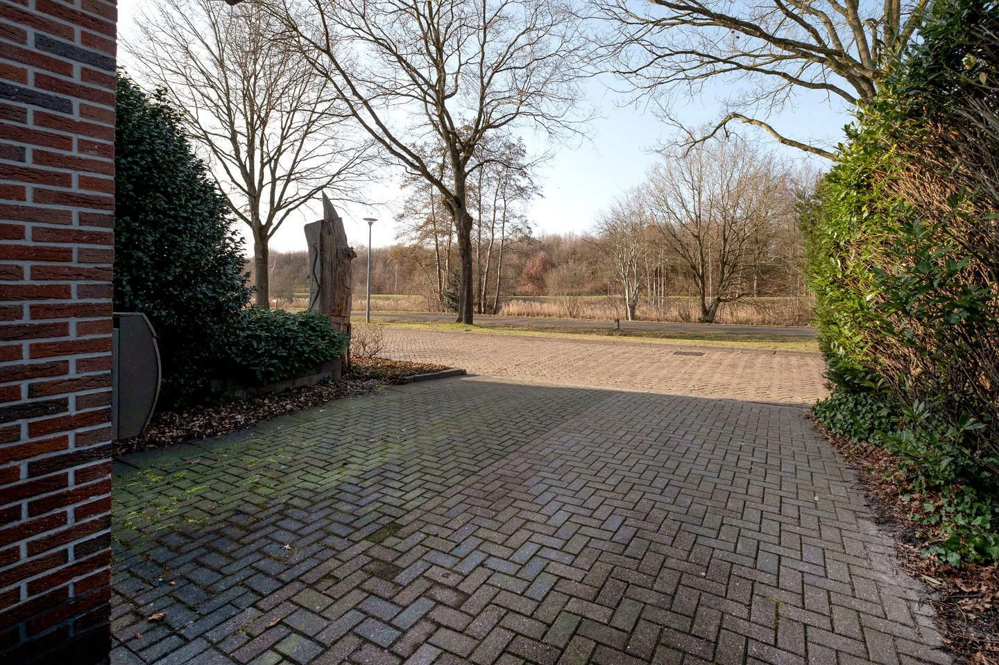 Foto 44 van Buitenbree 8