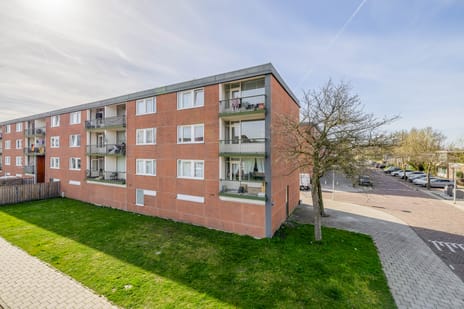 Botterstraat thumbnail