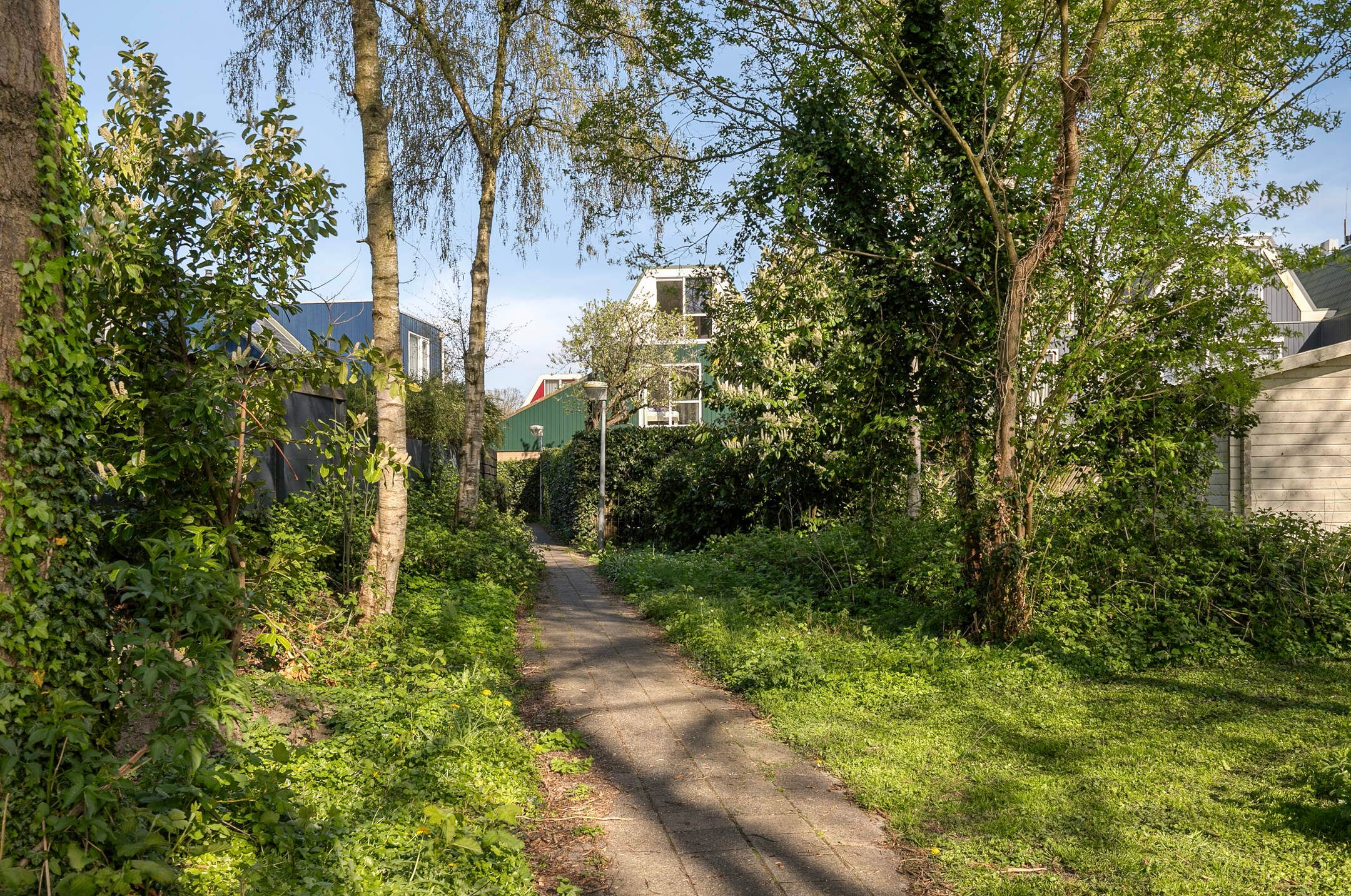 Foto 39 van Archipel 22 54