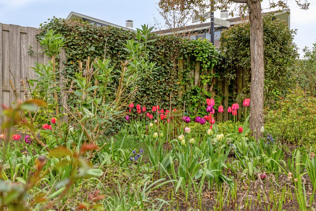 Photo 23 of de Jongstraat 2