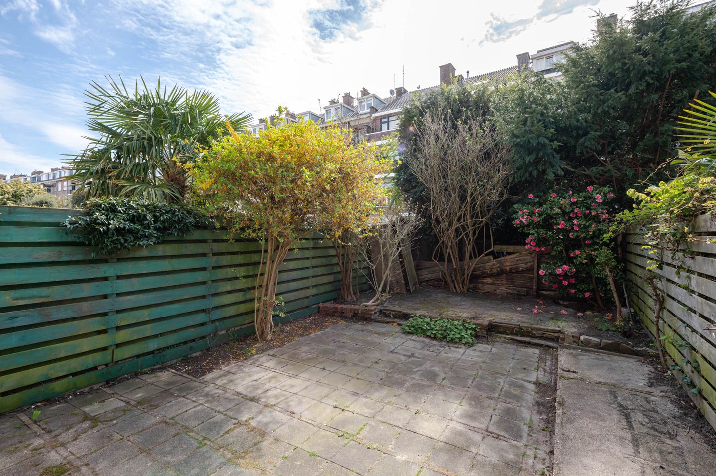 Foto 29 van Ananasstraat 126