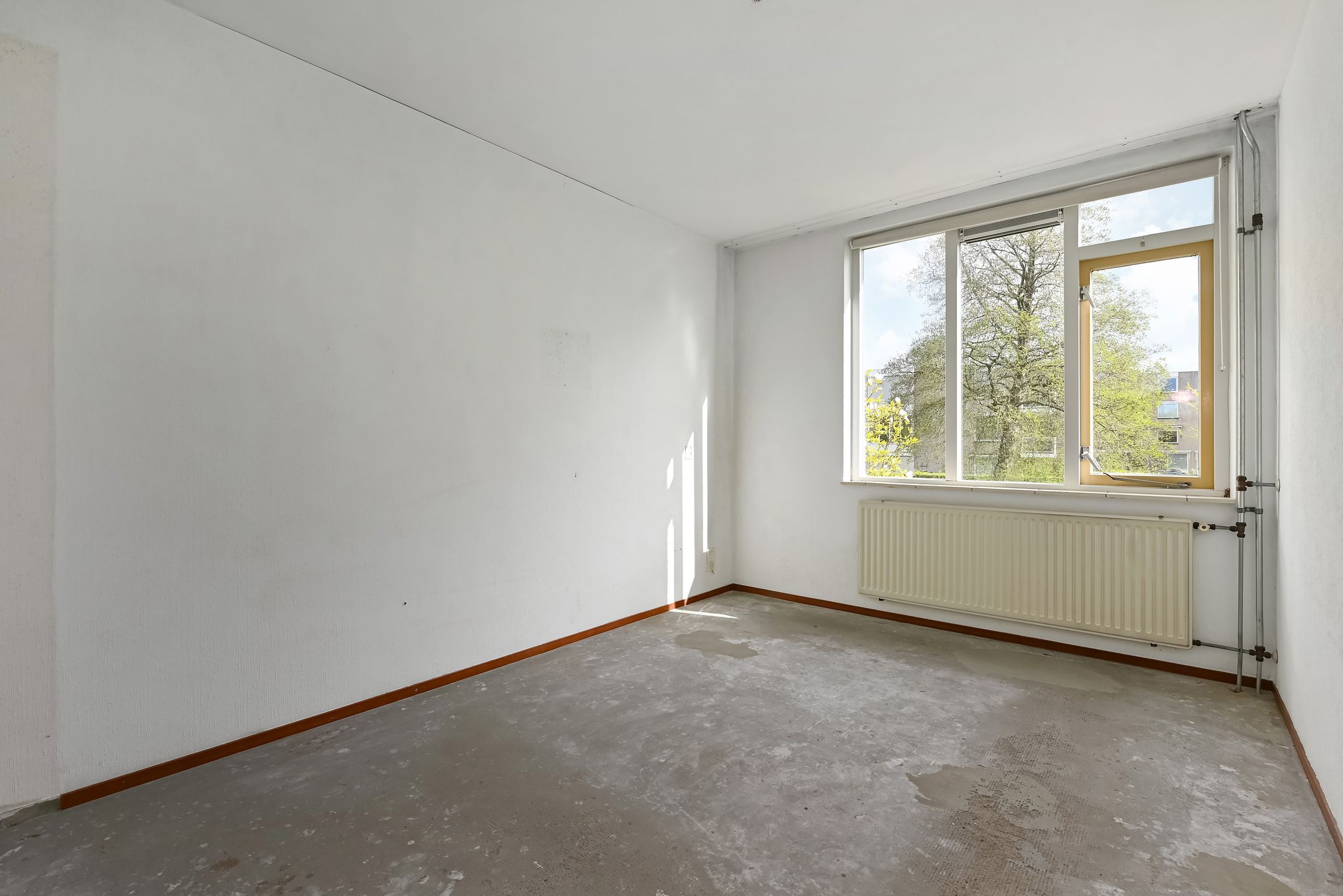 Foto 24 van Rietzangerpad 10