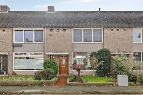 Adriaen Brouwerstraat thumbnail