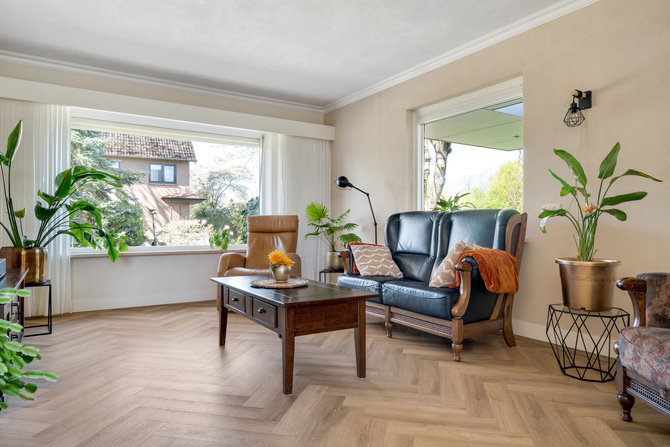 Foto 9 van de Noor 25