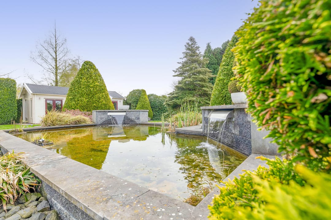 Foto 91 van Het eenspan 4