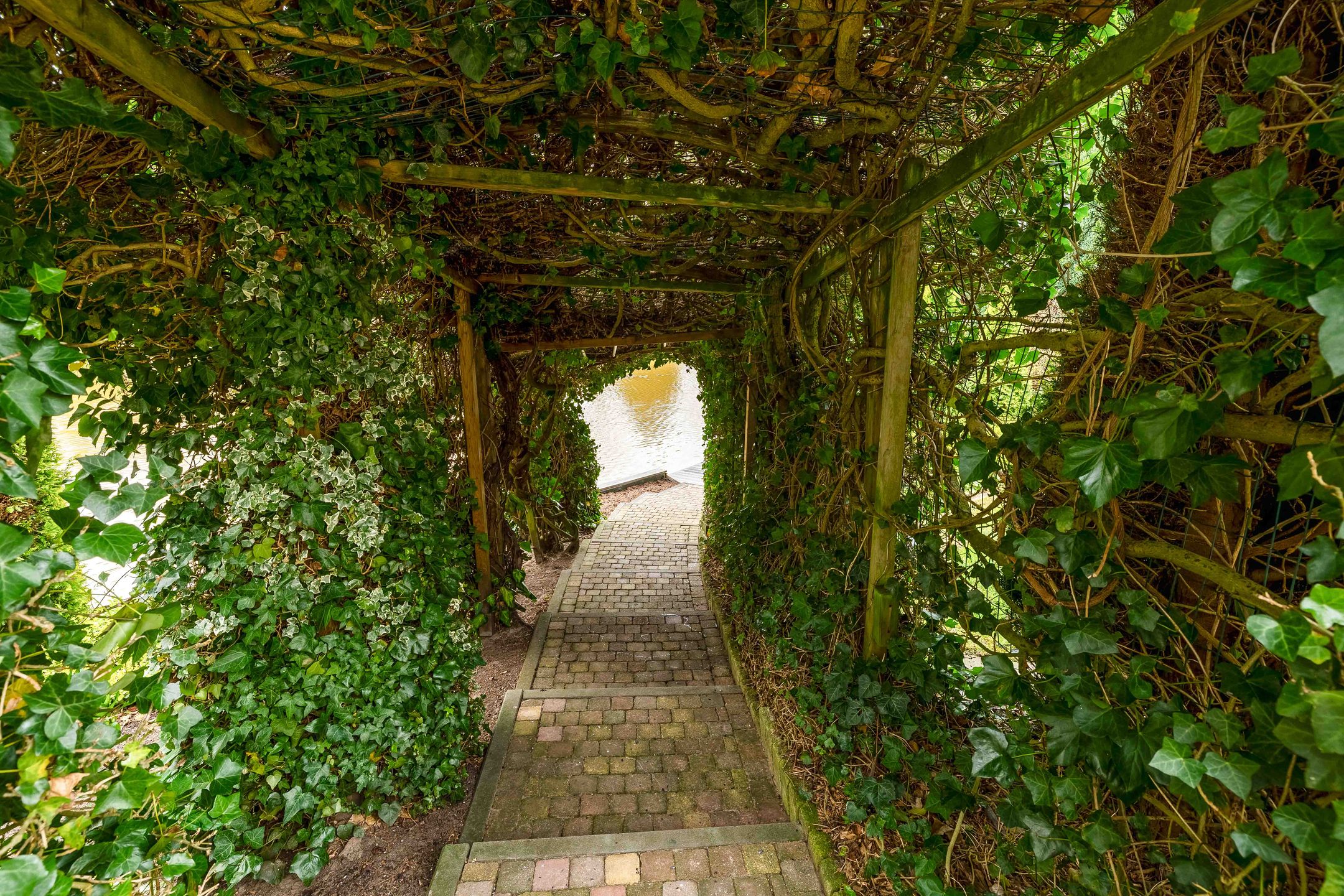 Foto 48 van Het eenspan 4