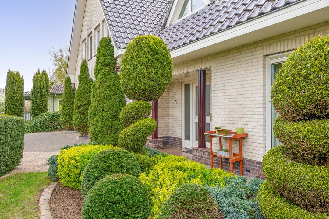 Foto 88 van Het eenspan 4