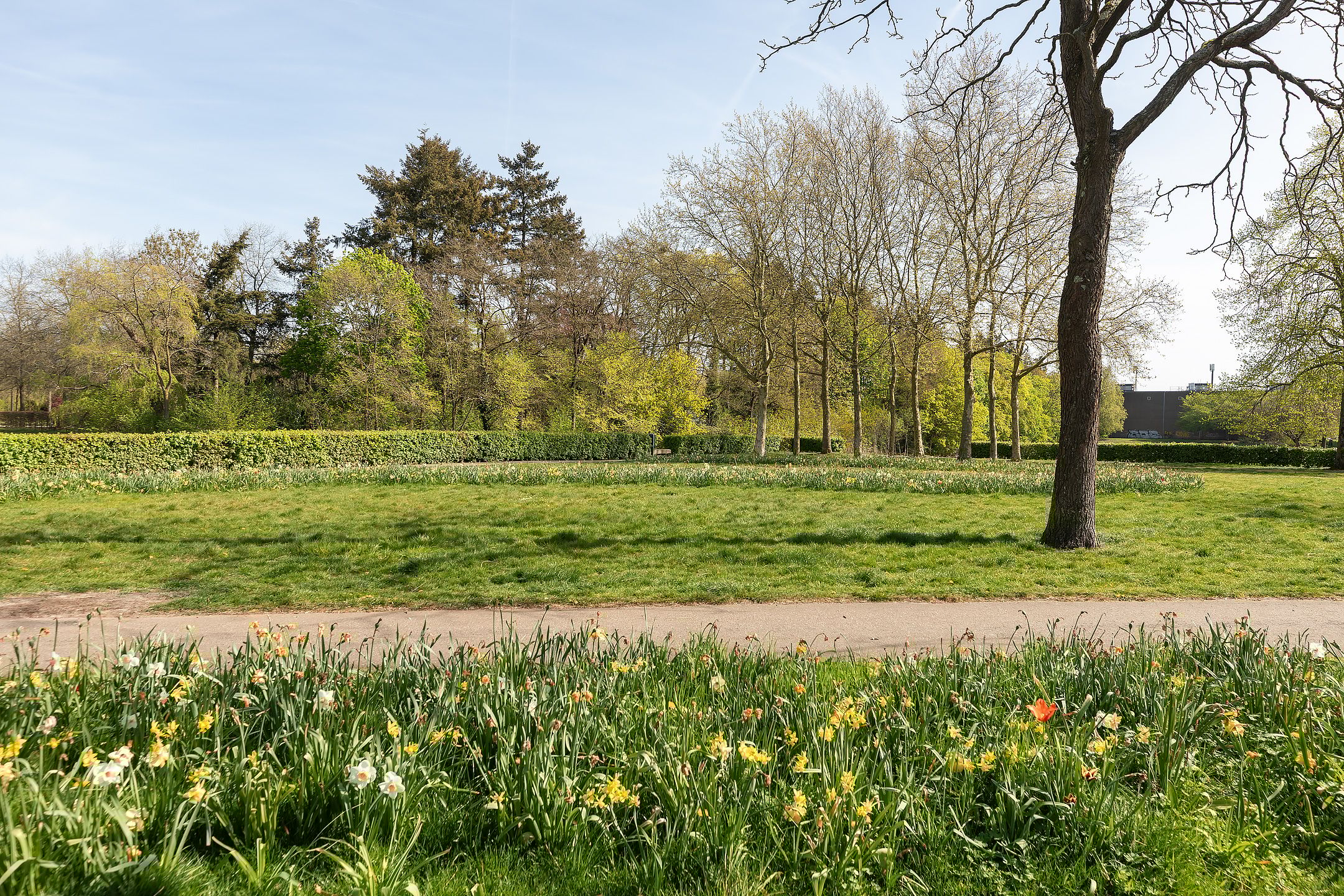 Foto 21 van Berlagelaan 295