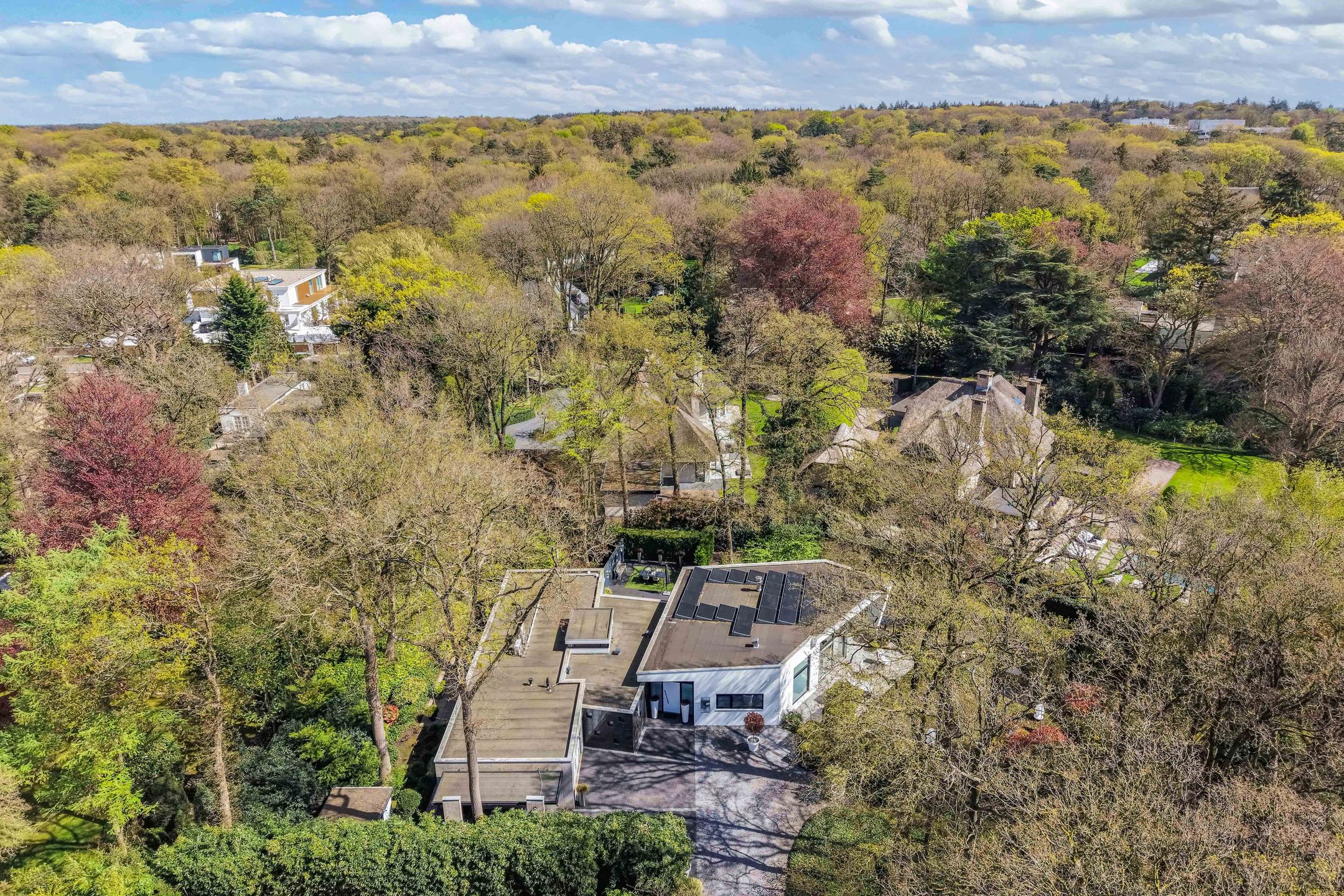 Foto 12 van Beukenlaan 11