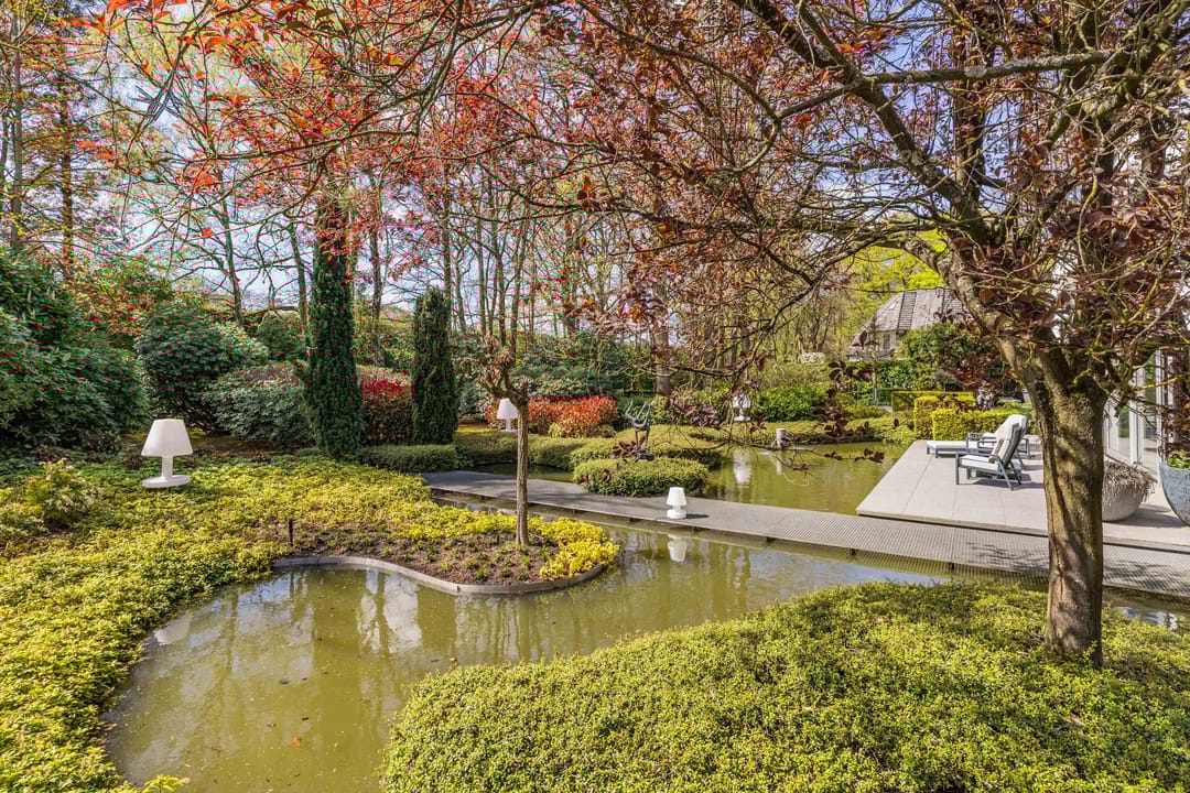 Foto 76 van Beukenlaan 11