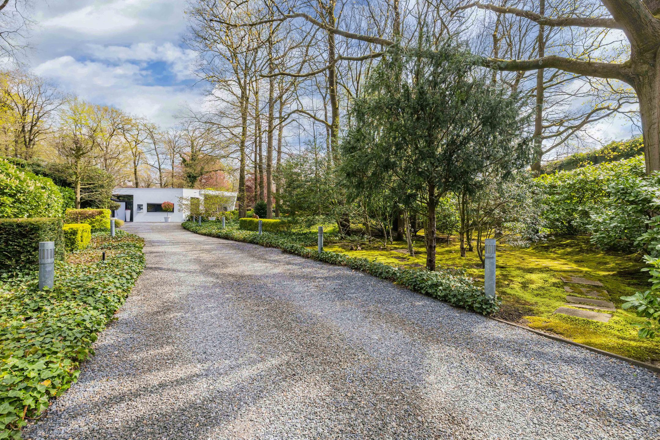 Foto 6 van Beukenlaan 11