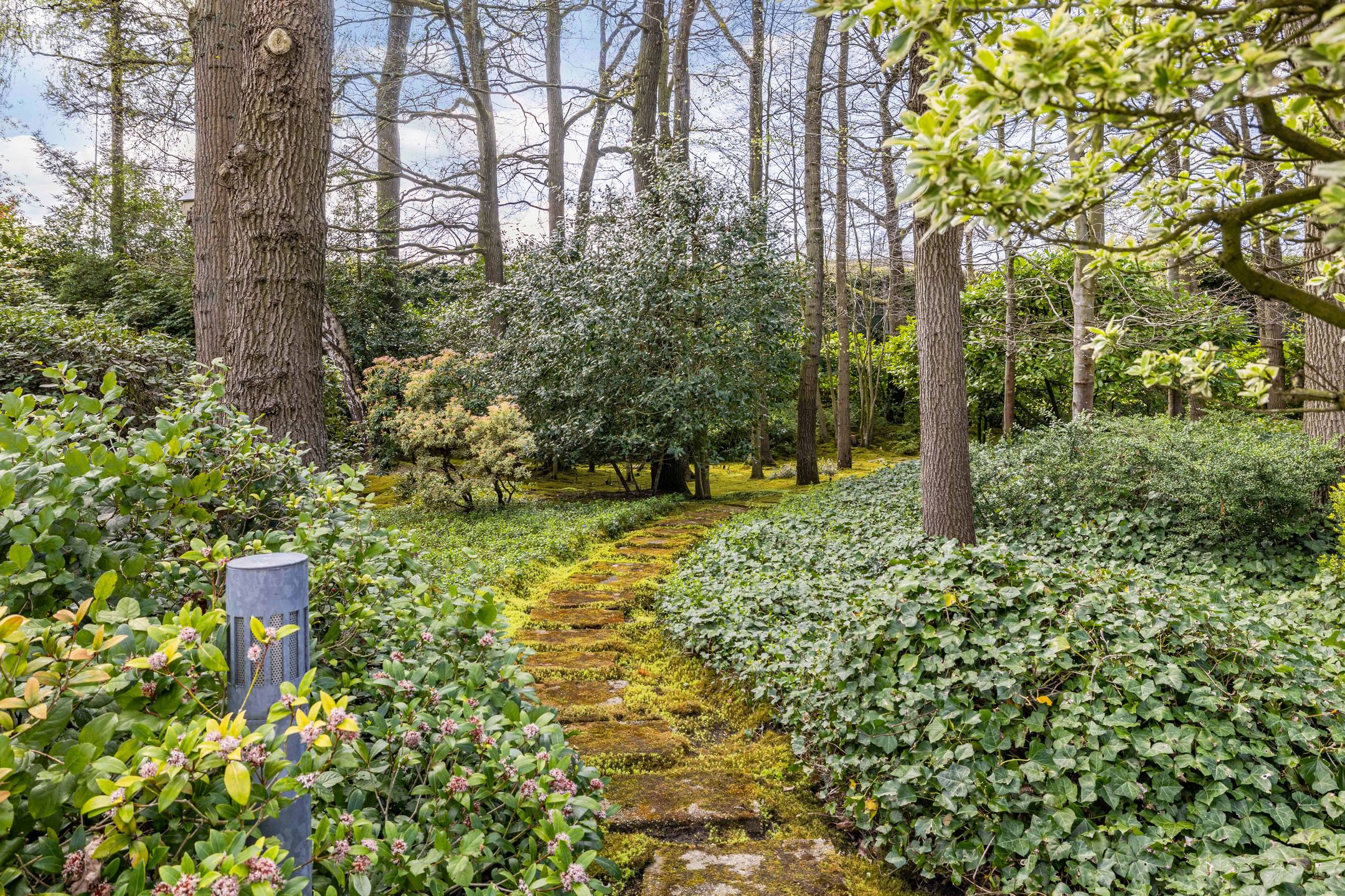 Foto 66 van Beukenlaan 11